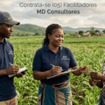 MD Consultores